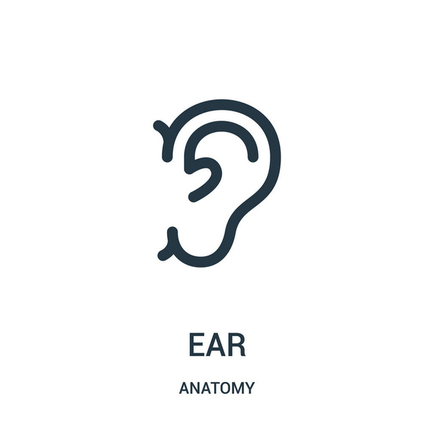 vector icono del oído de la colección de anatomía. Icono de contorno de oreja delgada ilustración vectorial. Símbolo lineal para su uso en aplicaciones web y móviles, logotipo, medios impresos
. - Vector, Imagen