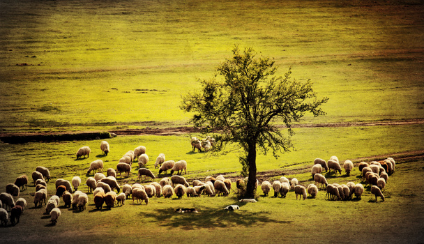 vintage pastoral manzara - Fotoğraf, Görsel