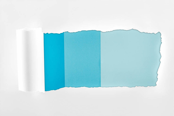 tattered textured white paper with rolled edge on blue background  - Foto, afbeelding