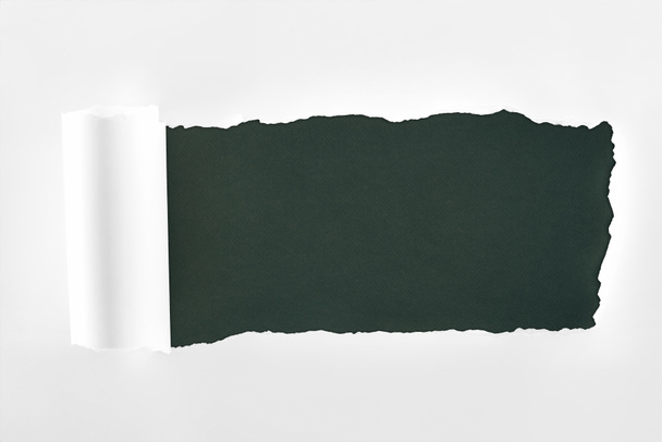 tattered textured white paper with rolled edge on black background  - Photo, Image