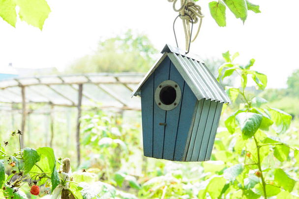 Птичий домик или птичий ящик в летнем солнцепеке на фоне натуральных зеленых листьев. Выборочный фокус. Копирование пространства
 - Фото, изображение