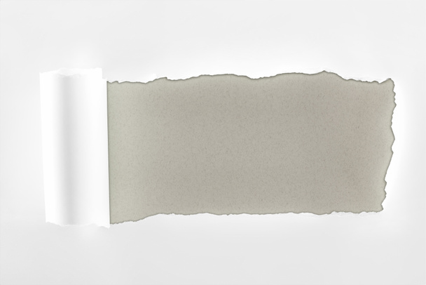 papel blanco texturizado deshilachado con borde enrollado sobre fondo gris
  - Foto, Imagen