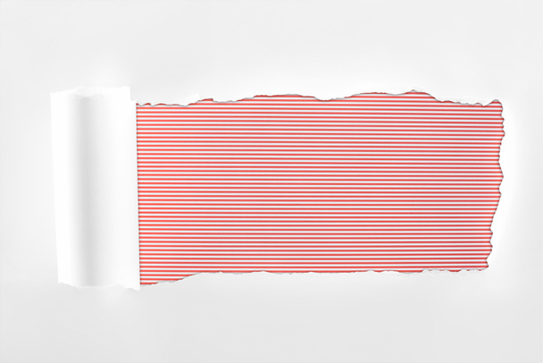 ragged textured white paper with rolled edge on red striped background  - Fotoğraf, Görsel