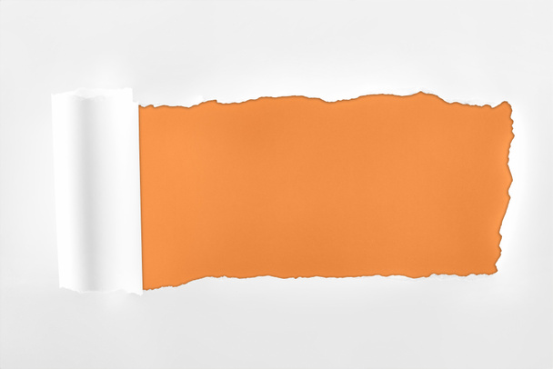 ragged textured white paper with rolled edge on orange background  - Фото, изображение