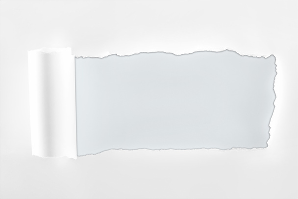 τυλιγμένο χαρτί με ανάγλυφη ακμή σε λευκό φόντο  - Φωτογραφία, εικόνα