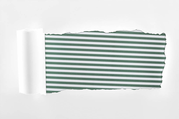 ragged textured white paper with rolled edge on green striped background  - Foto, Bild