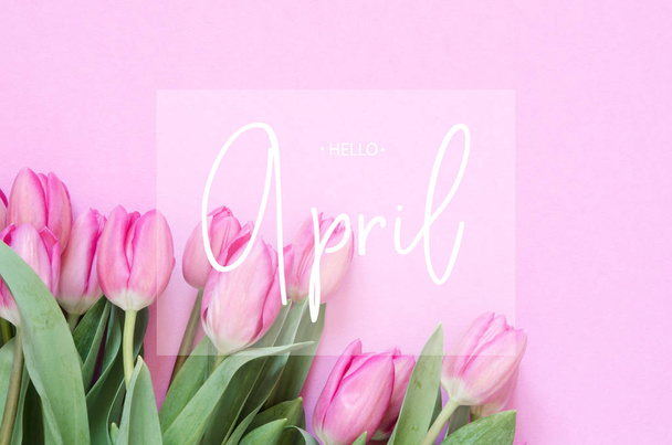 Inscriptie Hello April. Tulip bloem. Lente achtergrond. - Foto, afbeelding