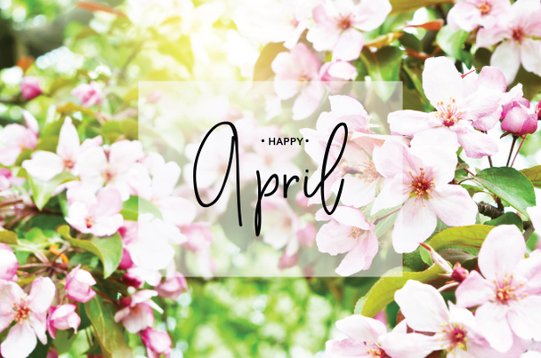 Inscription Happy April. Floral natural background spring time season. Blooming apple tree.   - Fotoğraf, Görsel