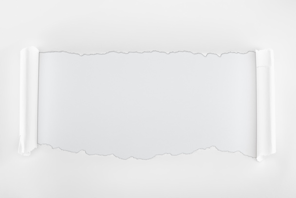 papel texturizado irregular con bordes rizados sobre fondo blanco
  - Foto, imagen