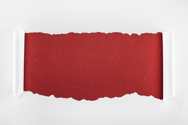 ragged textured white paper with curl edges on burgundy background  - Photo, Image