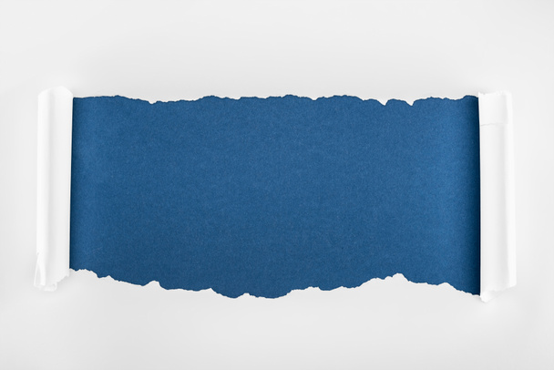 ragged textured white paper with curl edges on deep blue background  - Foto, afbeelding