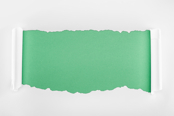 ripped textured white paper with curl edges on light green background  - Valokuva, kuva