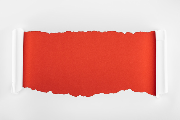 ripped white textured paper with curl edges on red background  - Valokuva, kuva