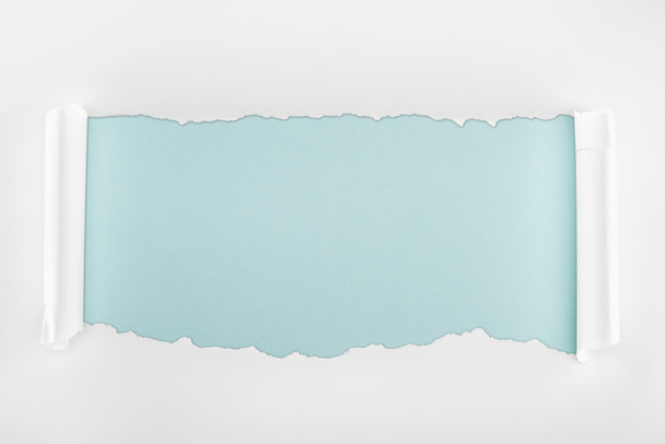 tattered white textured paper with curl edges on light blue background  - Zdjęcie, obraz