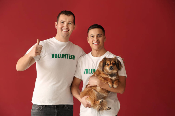 Young volunteers with dog on color background - Photo, Image