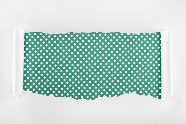 gerissenes weißes strukturiertes Papier mit Lockenrändern auf grünem Tupfen-Hintergrund  - Foto, Bild