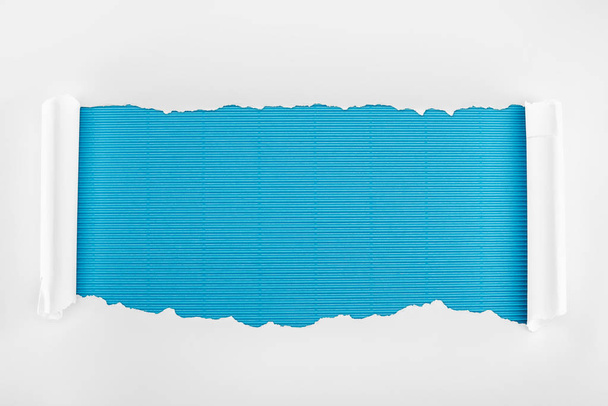 ripped white paper with rolled edges on blue striped background  - Фото, изображение