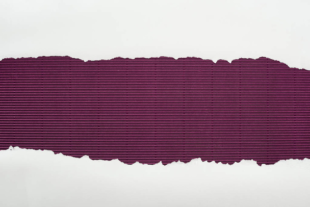 ripped white textured paper with copy space on purple striped background  - Φωτογραφία, εικόνα