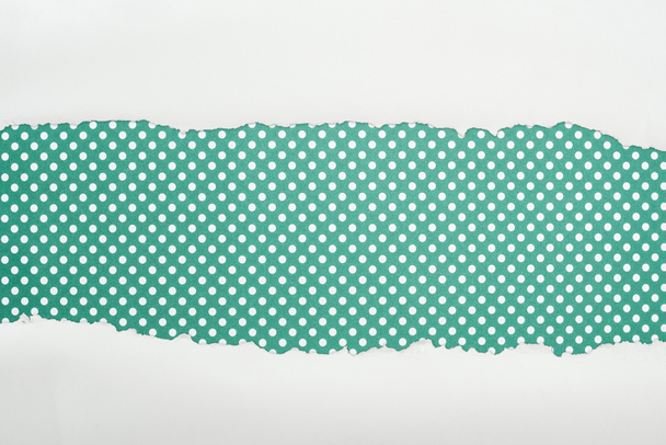 ripped white textured paper with copy space on green polka dot background  - Foto, afbeelding