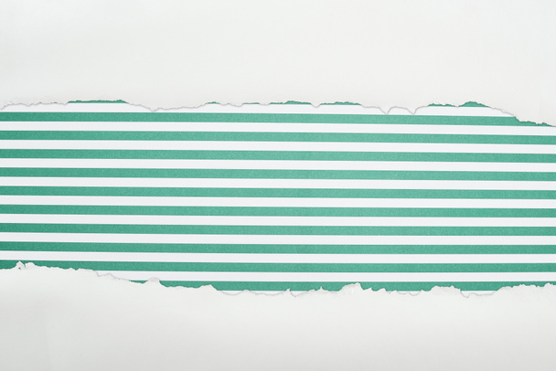 rongyos, fehér textúrájú papír, másolási hellyel, zöld csíkos háttérrel  - Fotó, kép