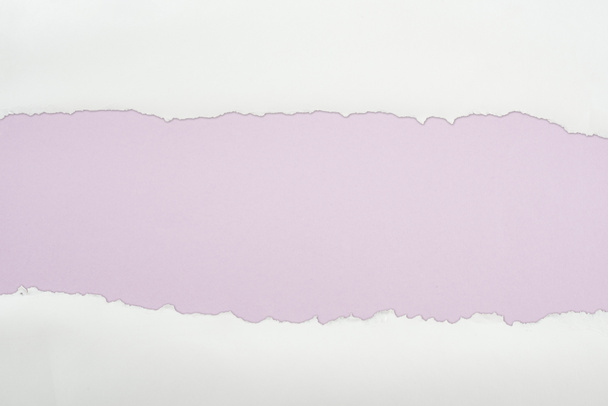 papier texturé blanc déchiqueté avec espace de copie sur fond violet clair
  - Photo, image
