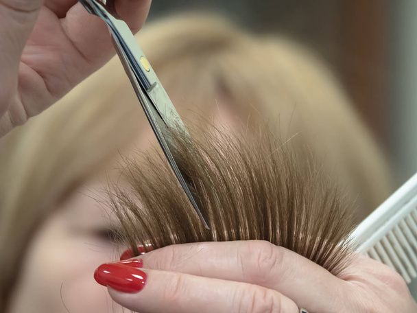 Technika stříhání vlasů s nůžkami. - Fotografie, Obrázek