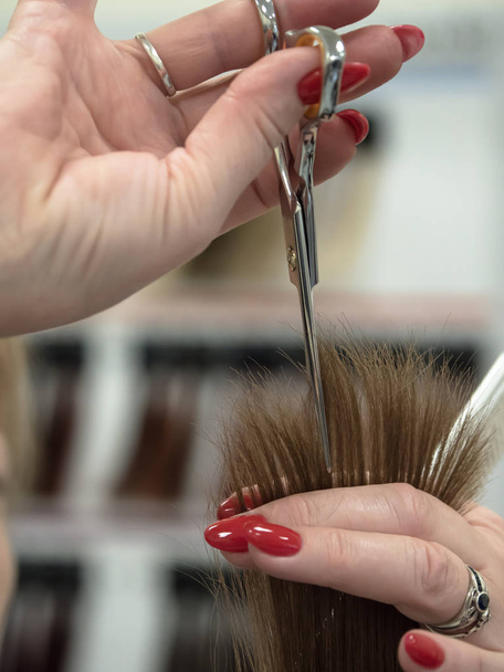A técnica de corte de cabelo com tesoura
. - Foto, Imagem