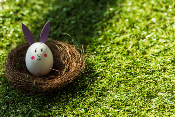 chicken egg with funny bunny face and paper ears in nest on green grass   - Foto, Bild