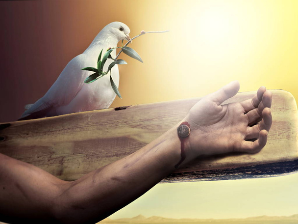 colomba bianca durante la passione di Gesù
 - Foto, immagini