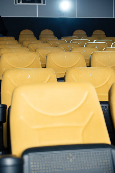 file di comode poltrone arancioni numerate nella sala cinema
 - Foto, immagini
