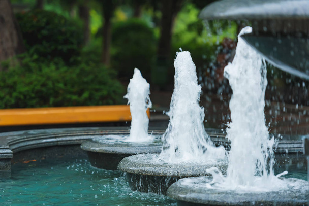 公園内の装飾的な噴水。噴水のあるランドス ケープ デザイン。緑の植物で花壇. - 写真・画像