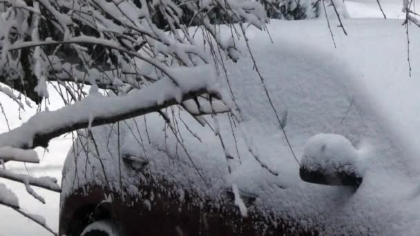 Araba Kışın kar ağır düşüş altında driveway oturan - Video, Çekim