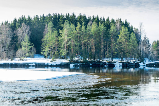 川 Kymijoki、フィンランドのコウヴォラの春の風景 - 写真・画像