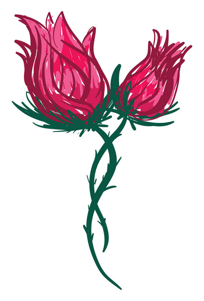 2つの赤いバラのベクトルまたはカラーイラスト - ベクター画像