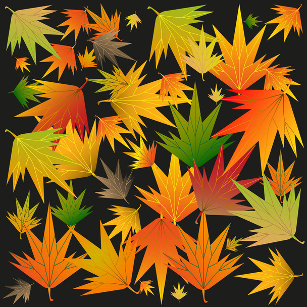 hojas de otoño sobre un fondo negro. ilustración vectorial
 - Vector, imagen