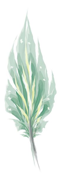 Green feather painting vector or color illustration - Vector, Image