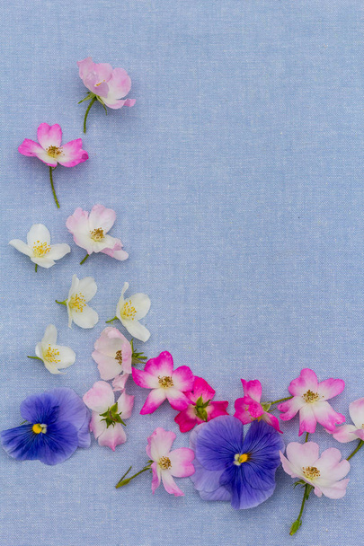 Beautifuil, natural frame with violet pansies and pink roses on blue, fabric background - Photo, image