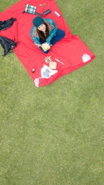 Estudante latina linda desfrutando de um piquenique no parque, vista aérea, espaço disponível para edição, ideal para blogs e anúncios
 - Foto, Imagem