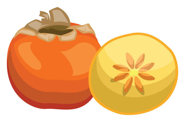 Карикатура на апельсиновый плод хурмы половина желтой хурмы остроумия
 - Вектор,изображение