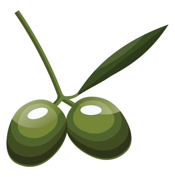 Карикатура из двух зеленых оливок с зеленым листом на векторе ветки
  - Вектор,изображение