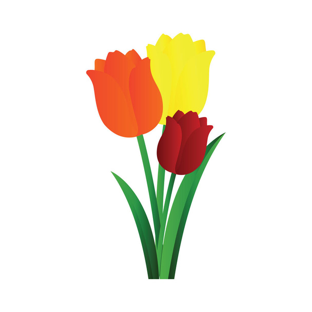 Illustration vectorielle de tulipes jaune orangé et rouge avec l vert
 - Vecteur, image