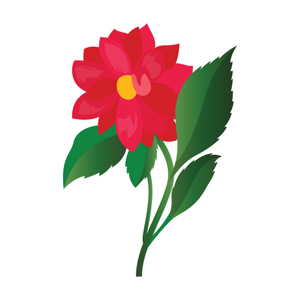 Векторная иллюстрация ярко-розового цветка георгины с зеленым листом
 - Вектор,изображение