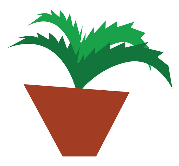 Aloe vektörü veya renkli Illustration - Vektör, Görsel