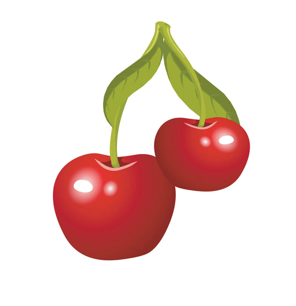 Two ripe red cherries vector or color illustration - Vektori, kuva