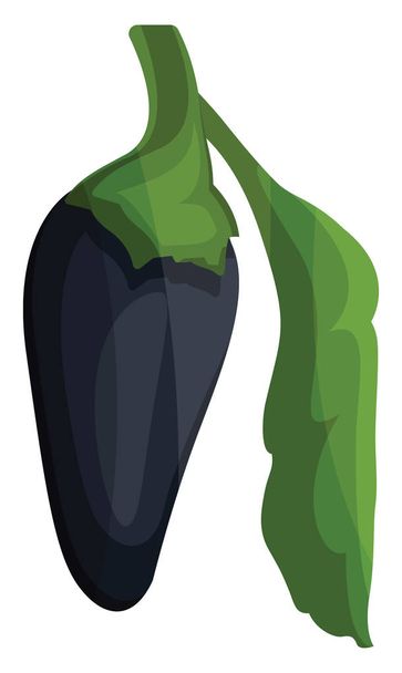 Sötétkék chili paprika zöld levél vektor illusztrációja v - Vektor, kép