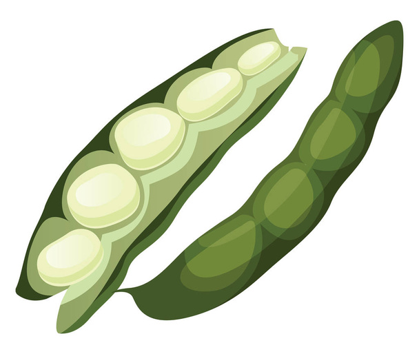 Πράσινα φασόλια απεικόνιση διανυσματικών λαχανικών σε λευκό πίσω - Διάνυσμα, εικόνα