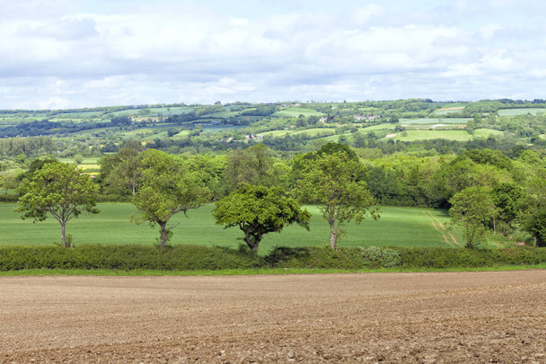 Campagna inglese con campo coltivato ad aratro, siepe, alberi, pascoli verdi e un villaggio inglese su una collina, in una giornata estiva soleggiata
 . - Foto, immagini
