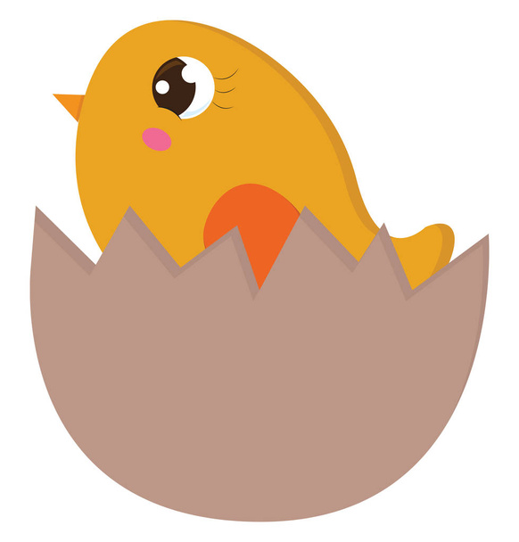 Yellow chick in an egg shell vector illustration on white backgr - Vector, Image