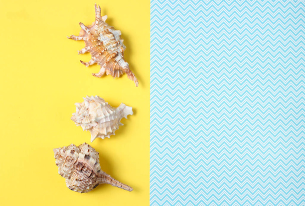 Seashell on a creative blue yellow background, summertime, minimalism, top vie - Photo, Image