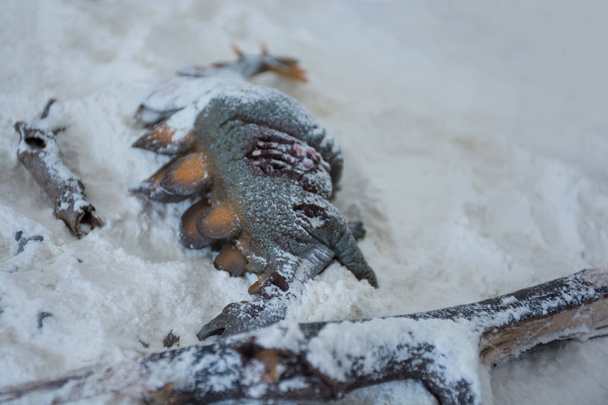 Lo Stegosauro morì sotto la neve durante la glaciazione. Eccitazione di dinosauri
 - Foto, immagini